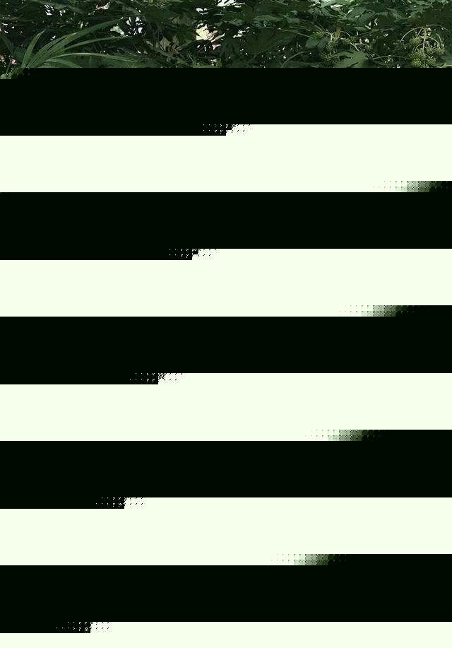 同人电影 并非基于现有版权作品