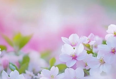 希特 我非常乐意为你提供帮助