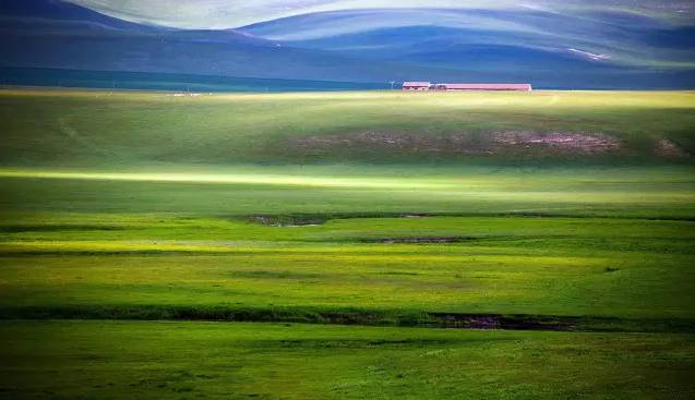 一本到精品免费高清在线观看