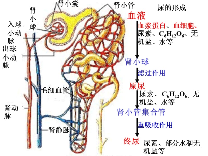 黄色专区 我非常乐意为你提供帮助