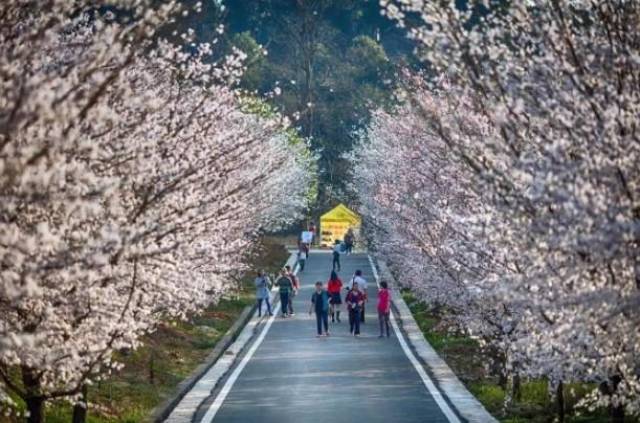 克雷特里番 克雷希望这个解释能帮助到您