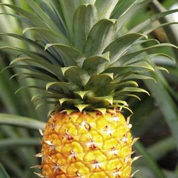 2021全国精品卡一卡二