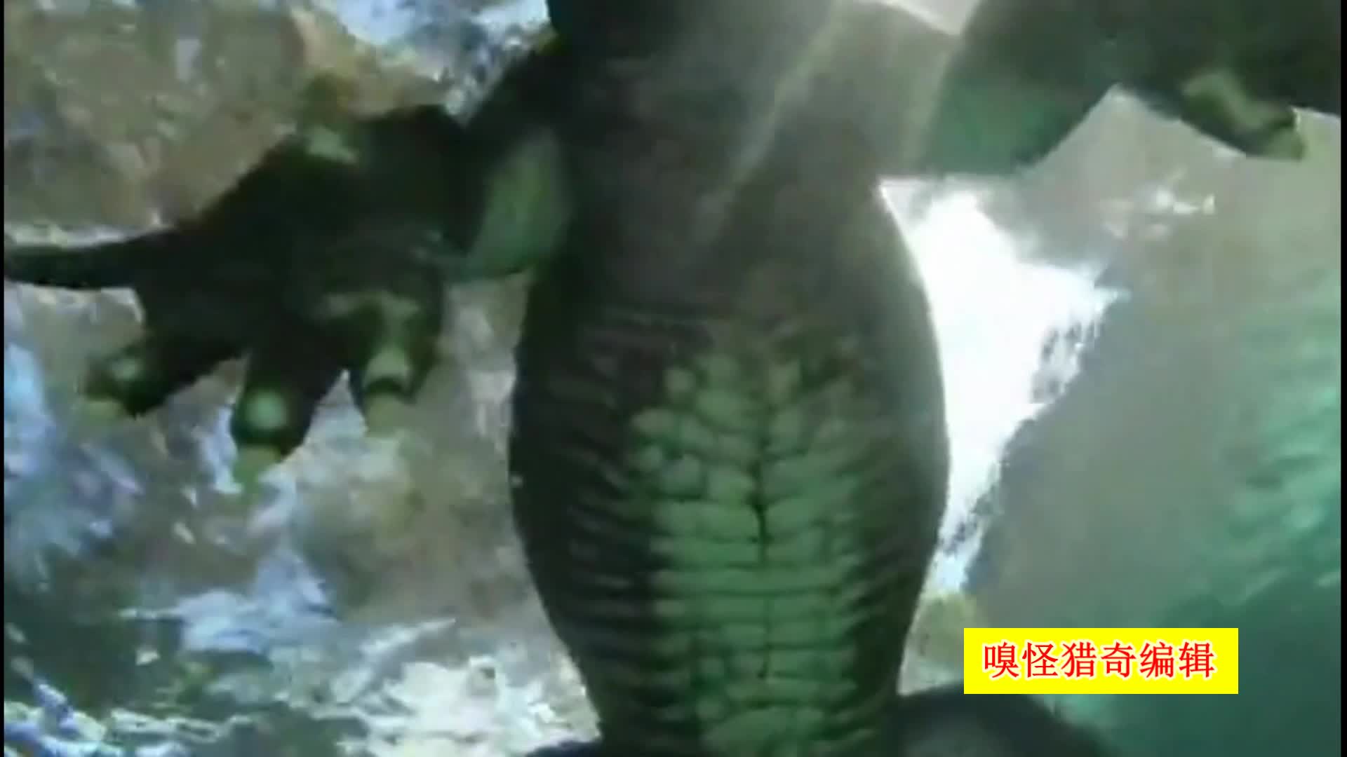 秘密研究所入口地址发布页 保障了访问路径的秘密存续