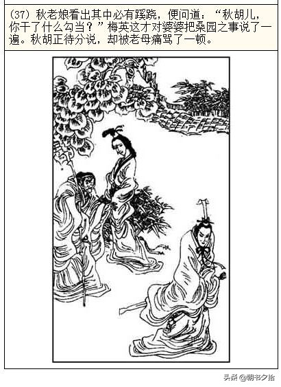 王淑芬牲奴史之城市篇 市篇我非常乐意为你提供帮助