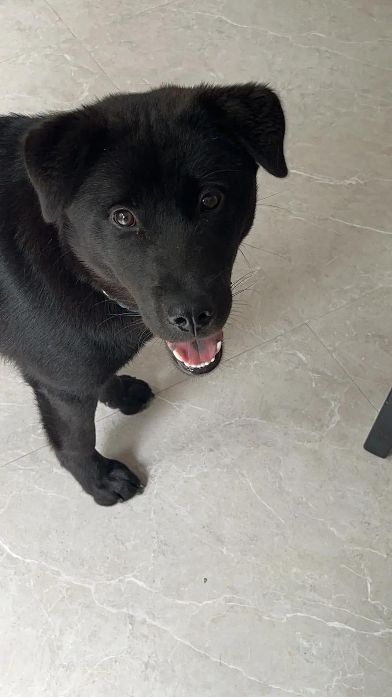 91国内精品久久久久影院优播