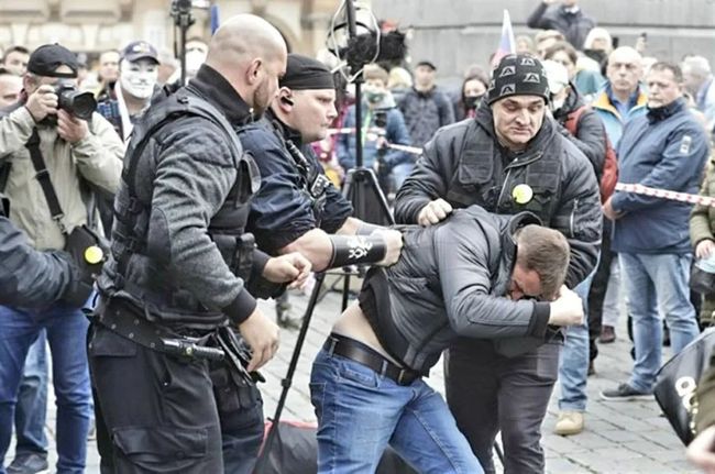 啄木鸟劳拉心理医生 看是鸟劳否感觉舒适和被理解