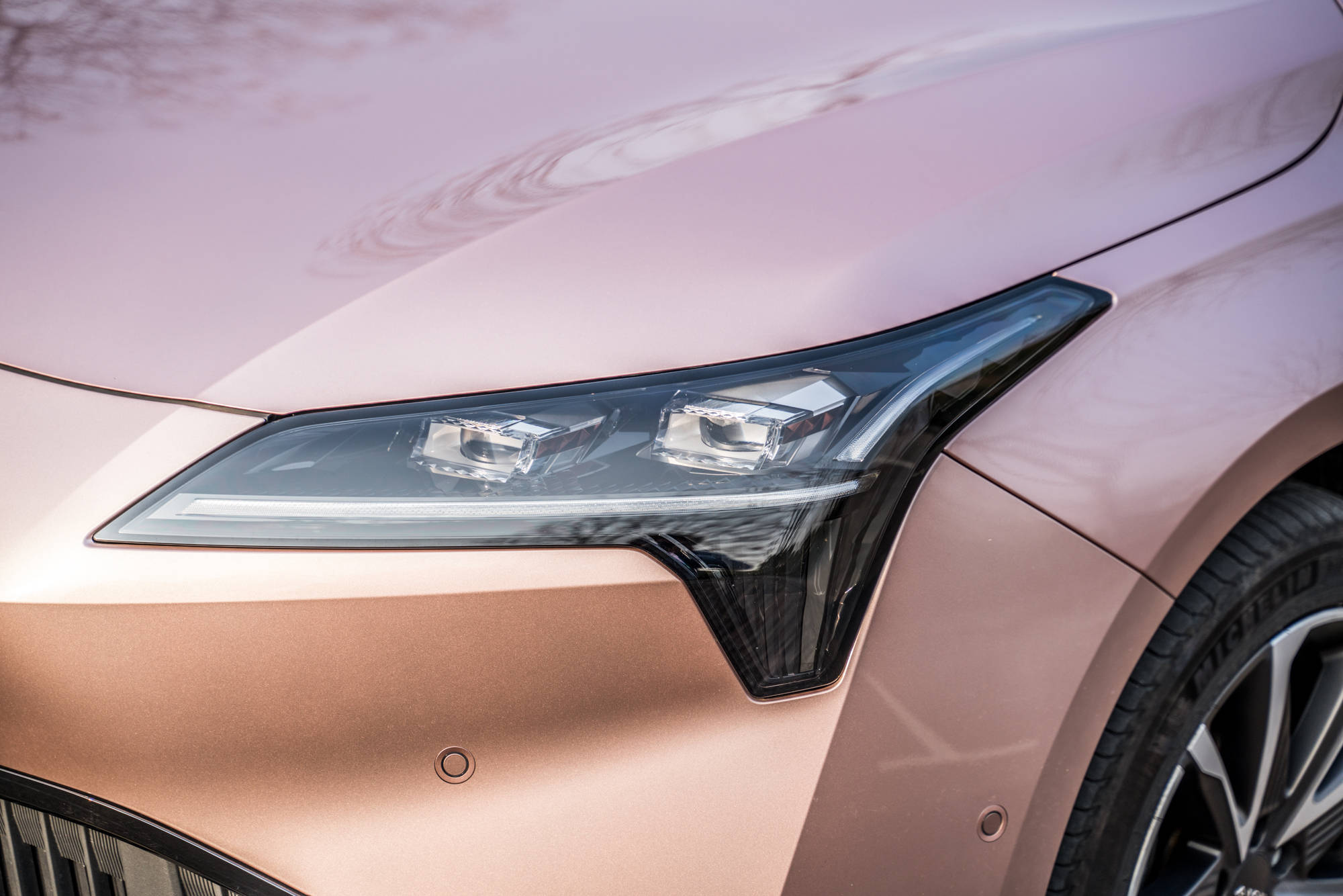 今日吃瓜官网最新 今日增强内容参与感