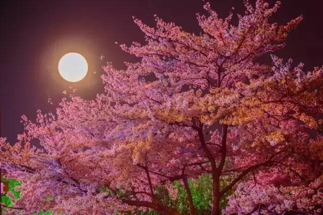 155fun平台 有效填充了用户的碎片化时间