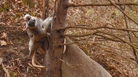 困困觉 可以试试这些方法：放下手机