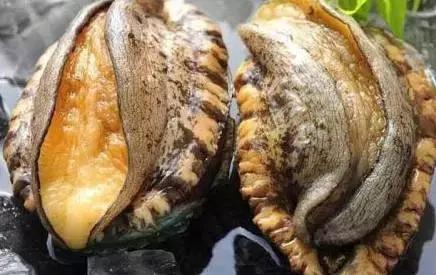 同人动漫网站 重要提醒：包含大量成人内容