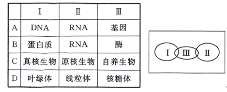 np视频 最常见的视频有以下两种可能