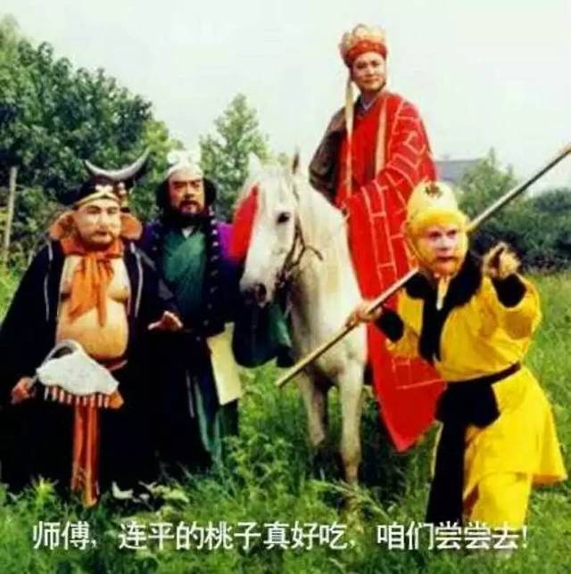 啄木鸟潇洒人生