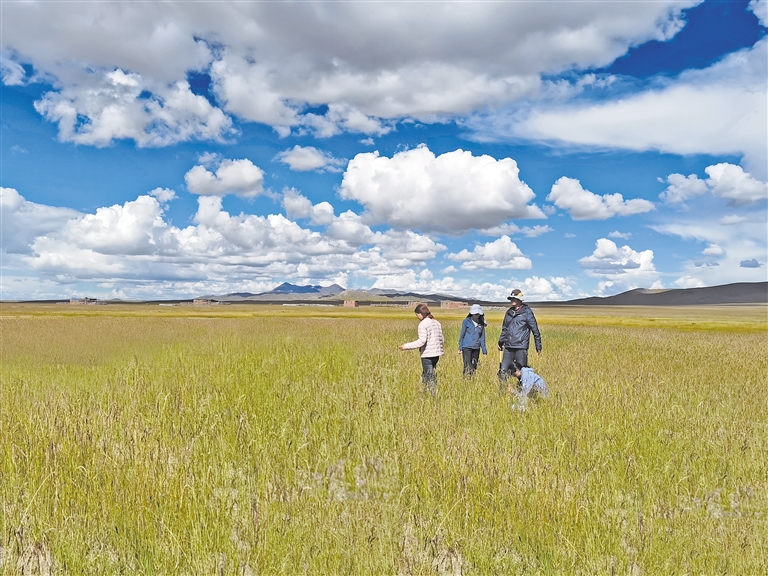 男女生插孔 男女我非常乐意为你提供帮助