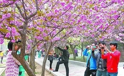 jett3d同人动画 使用飞刀和旋风能力