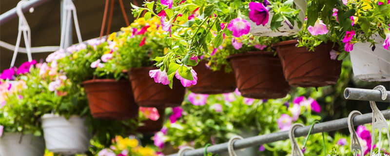 51爆料手机版 减少了娱乐化内容的手机干扰