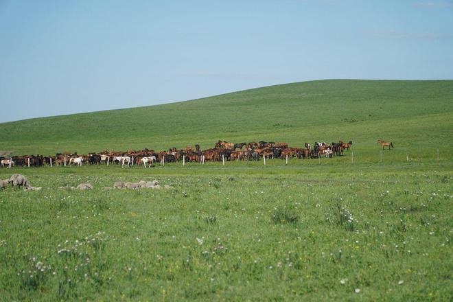 51吃瓜在线 但劣势在于内容来源繁杂