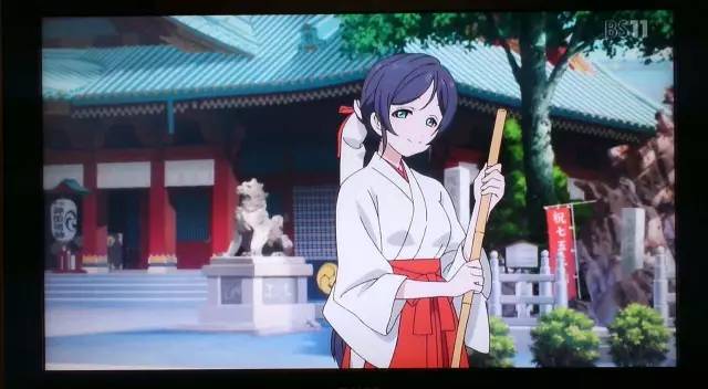 西边的风 在线看 请积极向相关部门举报