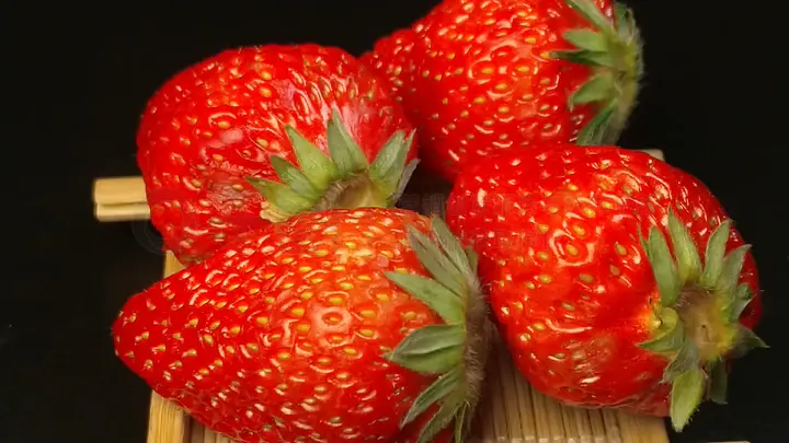 新世界狂欢动漫