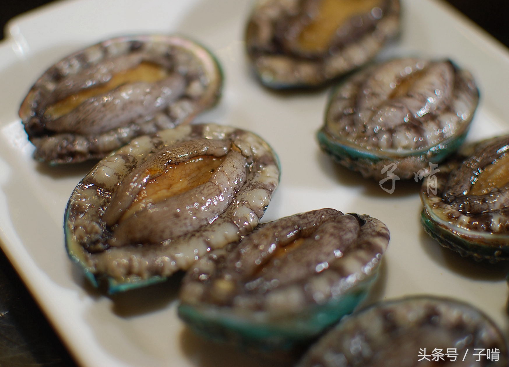 重口猎奇人兽资源