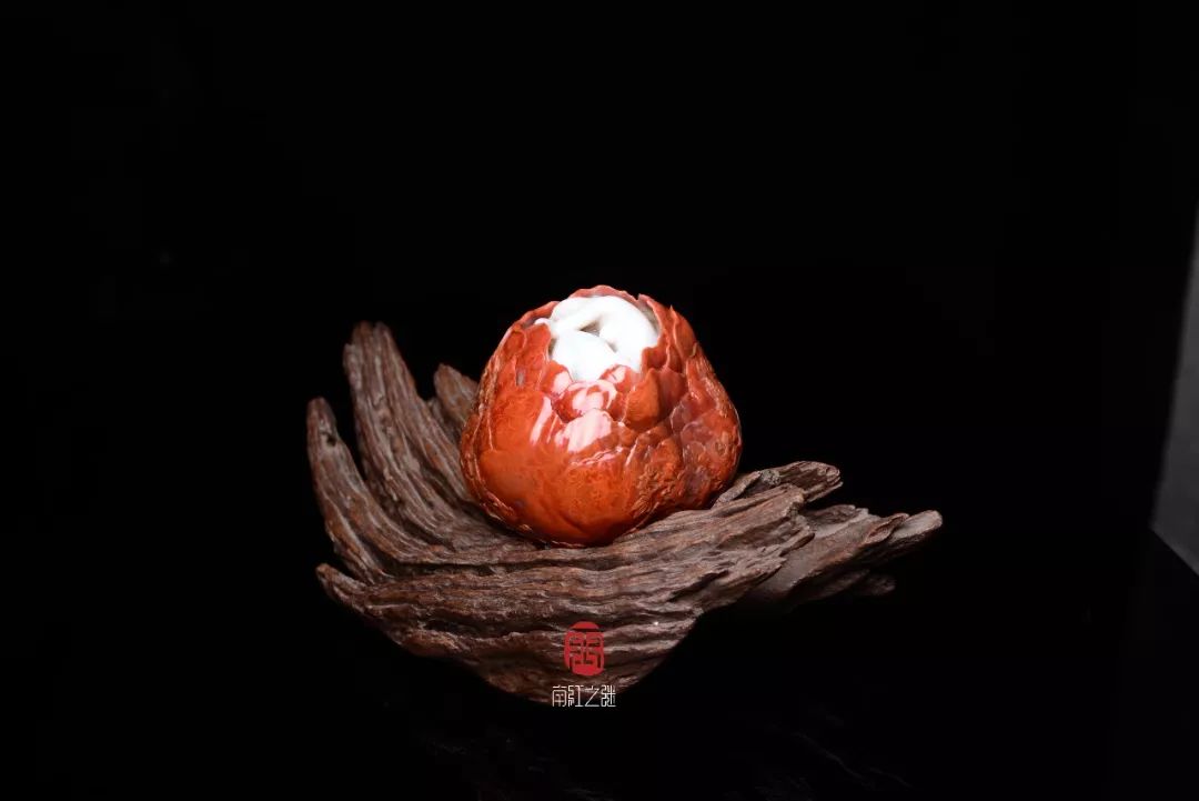 樱花 里番 樱花里番樱花里番成长或离别