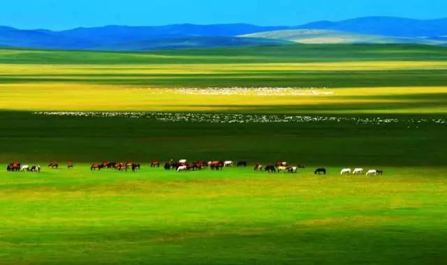 冥婚，3d漫画 冥婚在中国传统文化中