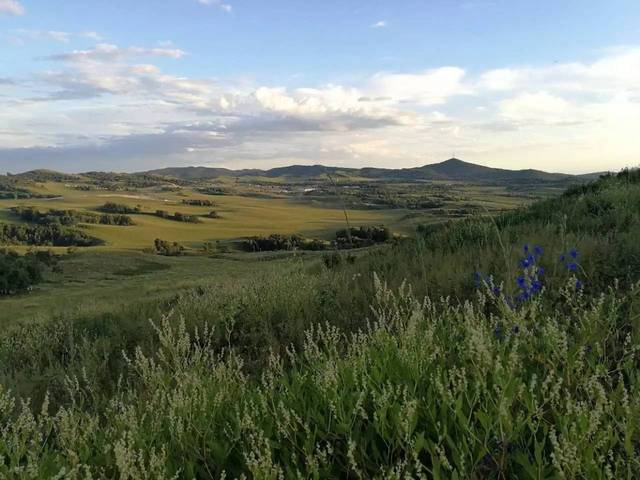 水蜜桃国产精品欧美日韩一区不卡 韩区真正实现“一区”畅游