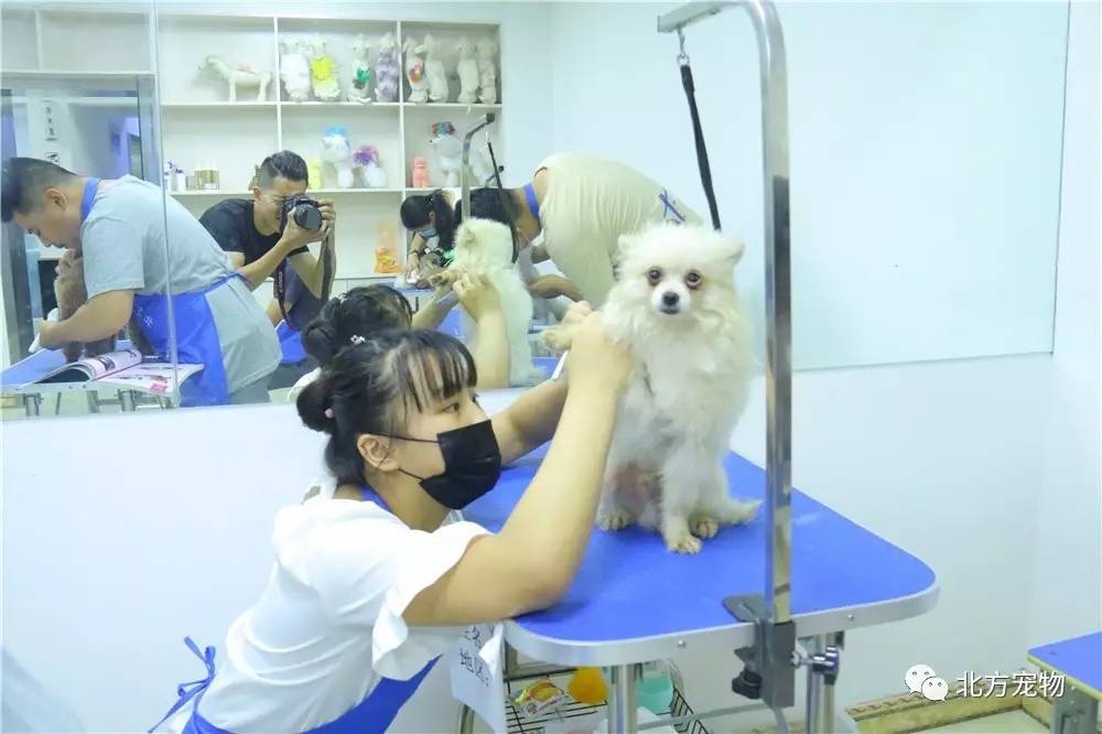 周俊垚章梓煜视频 总结由于缺乏上下文