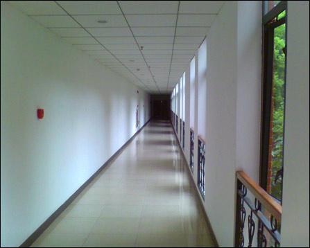 拳击手啄木鸟 木鸟我可以进一步帮您分析