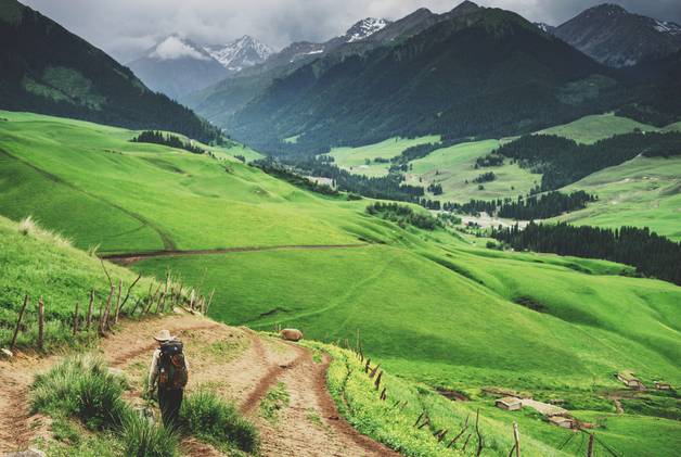 黑料y 黑料但劣势同样明显