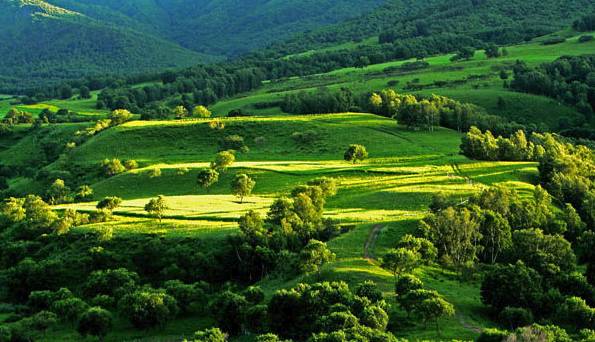 久爱吃瓜 久爱吃瓜总结总体而言