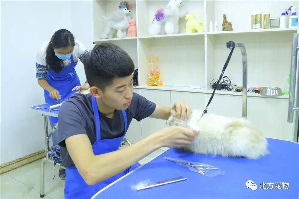 动漫改编,性器连接