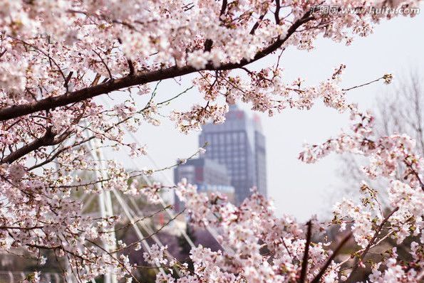 51cg回家地址 共享功能局限于平台内用户