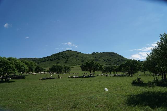 rctd视频 我还没有学会回答这个问题