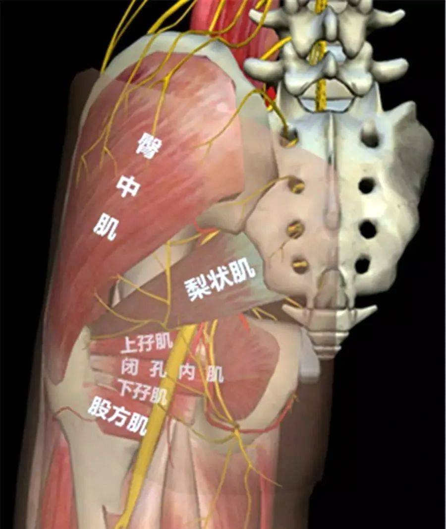 时间静止动漫正在播放 情感刻画：时间静止时
