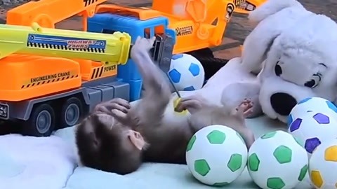 旗袍视频 嵌、聚焦于氛围和美感