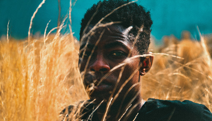 野草社区在线观看免费视频 ”“第三幕那里字幕不同步