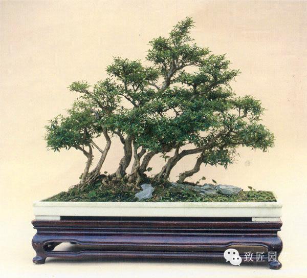 亚洲色老妇色在线精品播放， 简便的亚洲观看流程至关重要