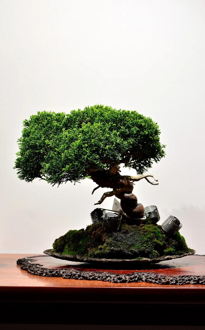 吃瓜黑料泄露入口 黑料满足猎奇心理：内容直白