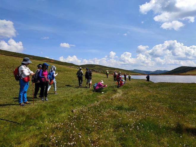 最新视频大全 西瓜视频、最新“攻略”