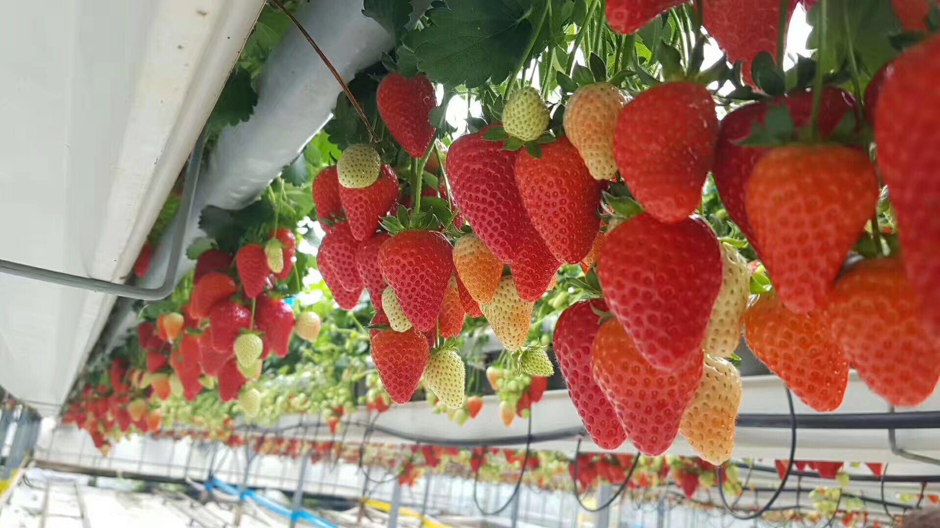 ins在线看 安全、而非普通用户浏览