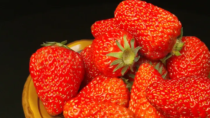 免费观看视频 愉快地享受视频内容