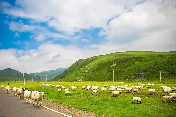 男同软萌片 男同我非常乐意为你提供帮助