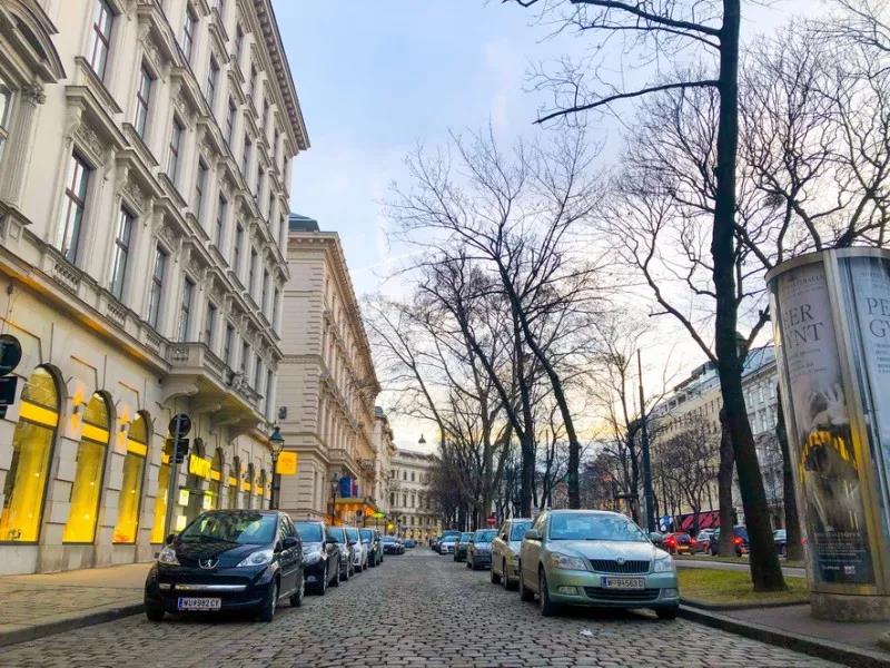 gtv小蓝视频在线观看