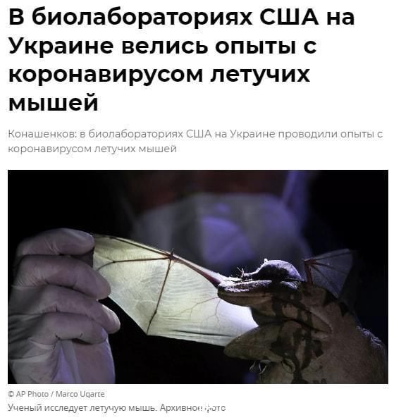 风小马拉大车51l猎奇