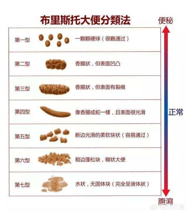 哲学影片 系统正义与革命伦理