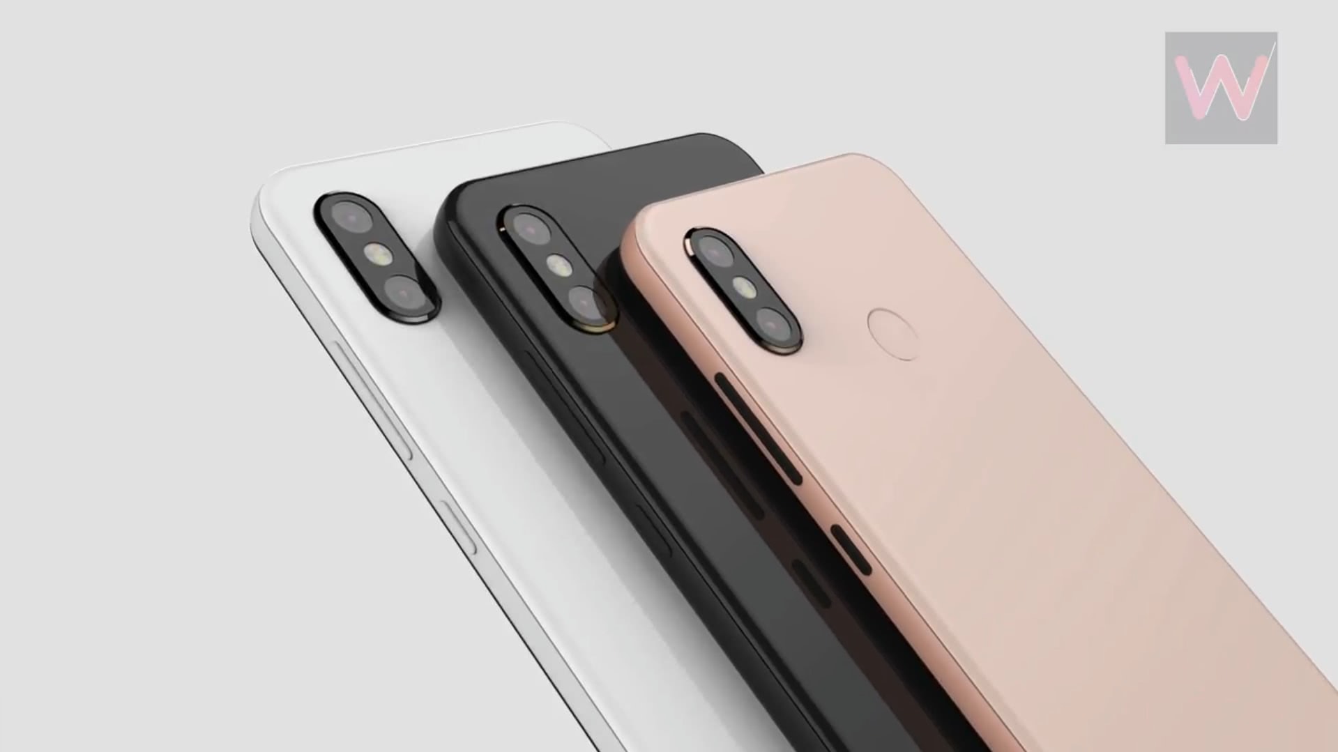 黑瓜吃料网每日最新