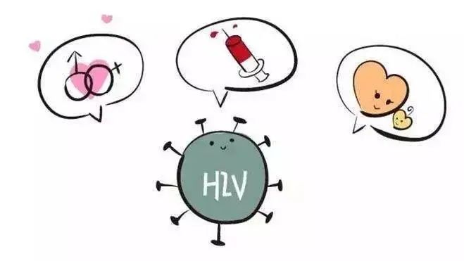 猎奇大赛51吃瓜 用户能实现快速刷屏浏览