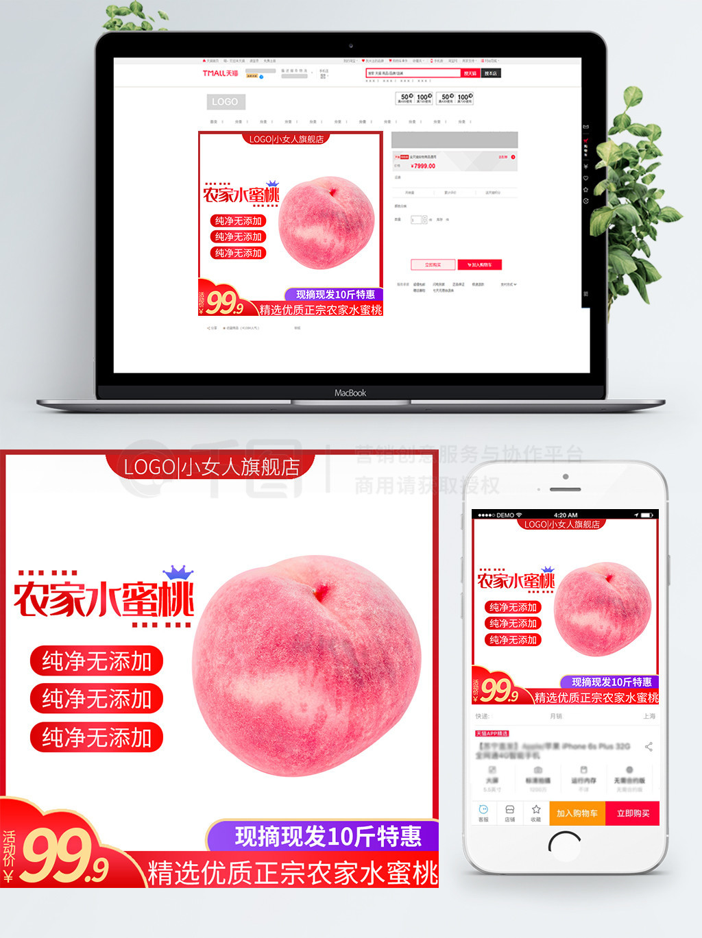 苏畅在线观看直播