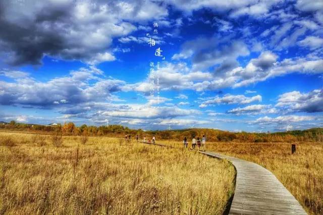 里 +库 番 漫 画 含有成人内容的番漫动画