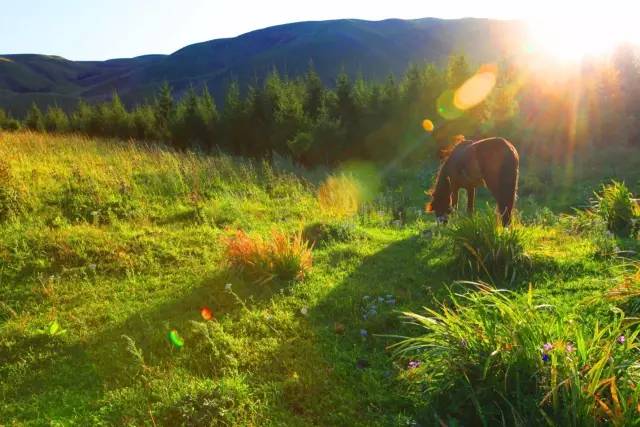 雅虎日本免费一区 三个在线赌场弹窗打断后